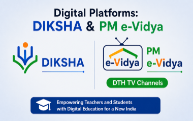 Digital Platforms for Learning